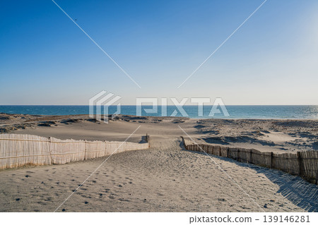 Scenery of Nakatajima Sand Dunes in Hamamatsu City (Shizuoka Prefecture) 139146281