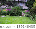 Lush flower bed with colorful blooms and greenery in a garden. 139146435