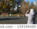Person taking pictures of birds in a park during autumn with yellow trees in the background 139146480