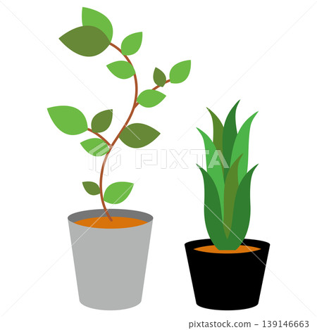 室內植物套裝:盆栽植物和綠色向量插圖素材 室內植物套裝:盆栽植物和綠色向量插圖素材 139146663