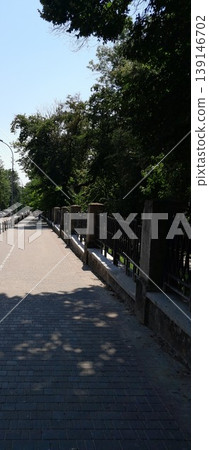 Sunny Tree-Lined City Sidewalk with Shadows and Iron Fence in Urban Park Area Sunny Tree-Lined City Sidewalk with Shadows and Iron Fence in Urban Park Area 139146702
