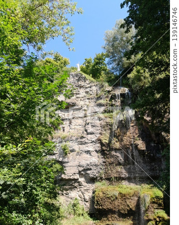 Green Climbing Plants Growing on Old Stone Wall with Natural Texture 139146746