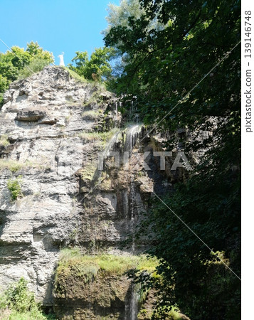 Green Climbing Plants Growing on Old Stone Wall with Natural Texture Green Climbing Plants Growing on Old Stone Wall with Natural Texture 139146748