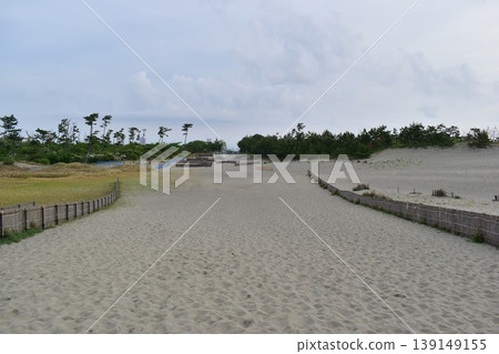 靜岡沙丘、中田島沙丘、觀光、旅遊 靜岡沙丘、中田島沙丘、觀光、旅遊 139149155