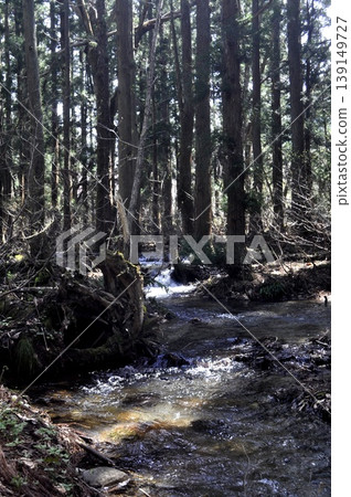A river A river 139149727