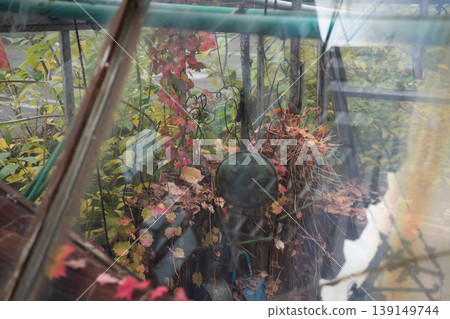 Unused greenhouse Unused greenhouse 139149744