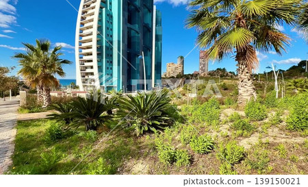 Stunning urban landscape with a tall building and palm trees Stunning urban landscape with a tall building and palm trees 139150021