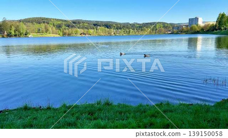 Ducks glide on a tranquil lake under the sun, framed by mountains Ducks glide on a tranquil lake under the sun, framed by mountains 139150058