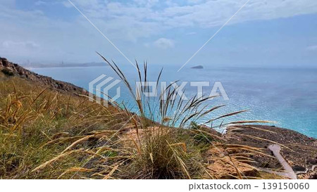 A tranquil journey along a grassy hillside reveals ocean views 139150060