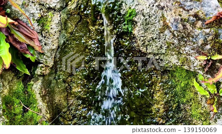 The Tranquil Water Flowing Gracefully From a Beautifully Pristine Natural Spring The Tranquil Water Flowing Gracefully From a Beautifully Pristine Natural Spring 139150069