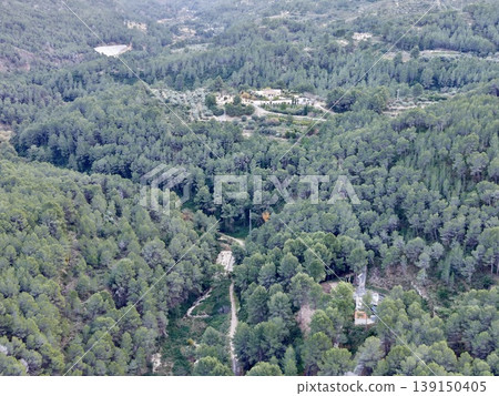 Winding trail through lush trees and open clearings leading to rustic cabins and scenic overlooks 139150405