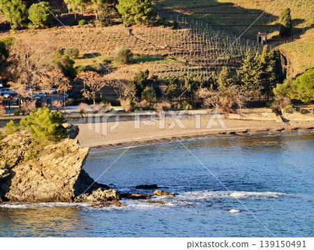 Sundrenched hillside with peaceful harbor. Peaceful bay surrounded by vineyards and rolling hills 139150491