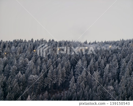 Silent icy woods with foggy horizon. Chilly forest landscape covered in frost and soft mist 139150543