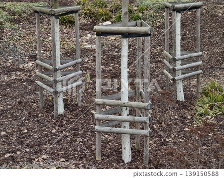 Earlystage tree carefully shielded using engineered structures in sustainable city landscaping projects 139150588