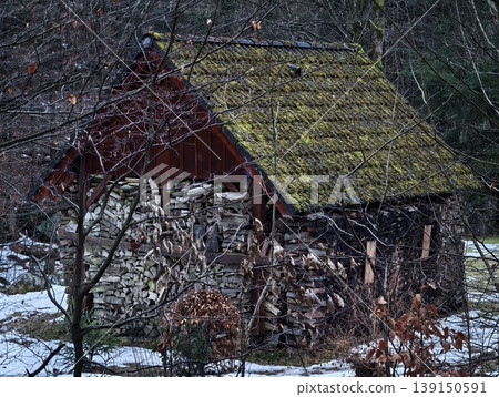 Carefully arranged logs adjacent to cozy country cabin with mosscovered roof and wooden siding from close view Carefully arranged logs adjacent to cozy country cabin with mosscovered roof and wooden siding from close view 139150591