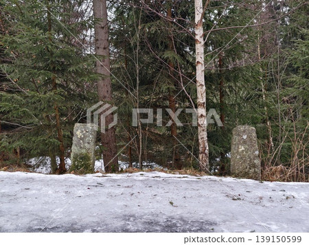 Silent icy forest clearing landscape. Serene winter grove with weathered granite standing stones Silent icy forest clearing landscape. Serene winter grove with weathered granite standing stones 139150599