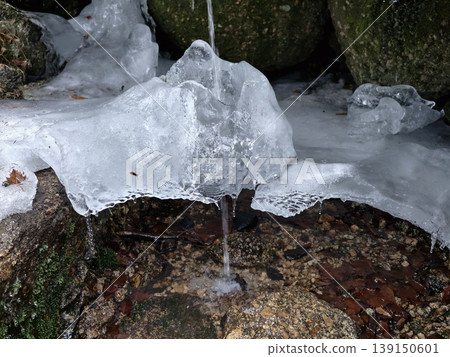 Frosty rocky drips. Slender ice covering with dripping water over mossy rocks during gentle winter thaw 139150601