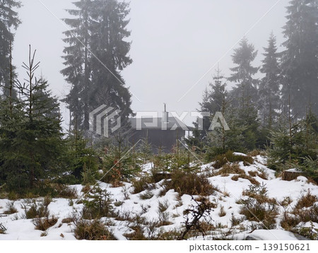 Isolated woodland retreat. Lone cabin nestled in foggy mountains surrounded by snow and sparse trees 139150621