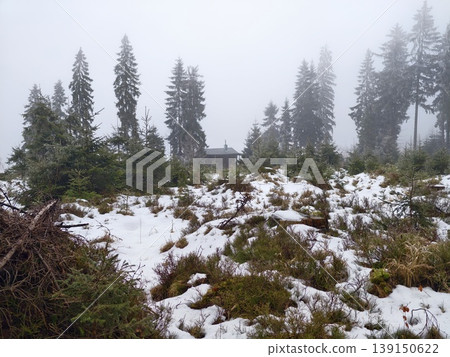 Quiet snowy hideaway with rustic charm. Remote frosty clearing featuring concealed cabin and misty horizon 139150622