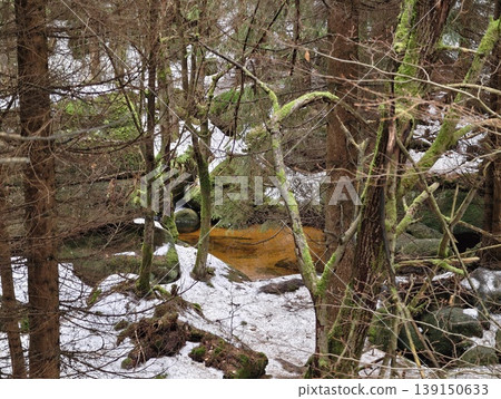 Serene landscape with mosscovered stones. Quiet wilderness featuring streams and evergreen trees Serene landscape with mosscovered stones. Quiet wilderness featuring streams and evergreen trees 139150633