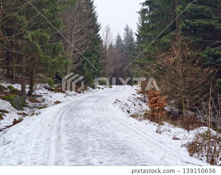 Path through snowcovered trees under icy sky. Trail winds beneath frosted needles across frozen landscape Path through snowcovered trees under icy sky. Trail winds beneath frosted needles across frozen landscape 139150636