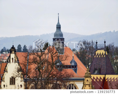 Decorative rooftops showcased. Intricate facades featuring vibrant orange tiles and spire accents Decorative rooftops showcased. Intricate facades featuring vibrant orange tiles and spire accents 139150773