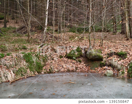 Frozen lake beneath trees. Silent winter scene with thin ice and scattered foliage beneath trees Frozen lake beneath trees. Silent winter scene with thin ice and scattered foliage beneath trees 139150847