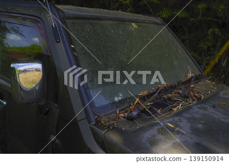 A vehicle that has been left abandoned for a long time, surrounded by vegetation. A vehicle that has been left abandoned for a long time, surrounded by vegetation. 139150914