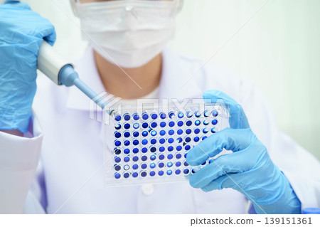 Scientist with cell culture in sample micro plate for research in science laboratory. 139151361