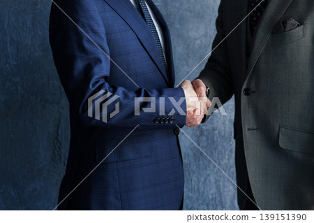 Hands of business people shaking hands Hands of business people shaking hands 139151390