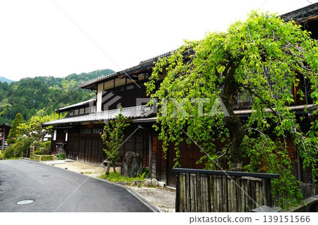 中山道自然步道，木曾路上的妻籠宿：春日景色 139151566