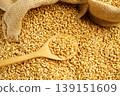 Wheat and grains ears agricultural, organic farm concept. 139151609