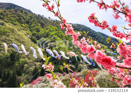 花盛開的桃子村莊 139152114
