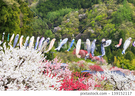 花盛開的桃子村莊 139152117