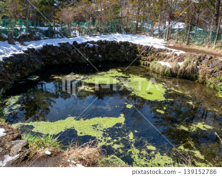 The clear stream flowing through Oshino Hakkai in Fukushima Prefecture in late autumn The clear stream flowing through Oshino Hakkai in Fukushima Prefecture in late autumn 139152786