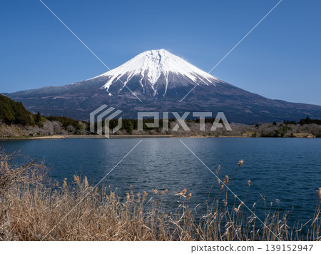 A winter morning view from Lake Shoji: A child cradled in a red husk. A winter morning view from Lake Shoji: A child cradled in a red husk. 139152947