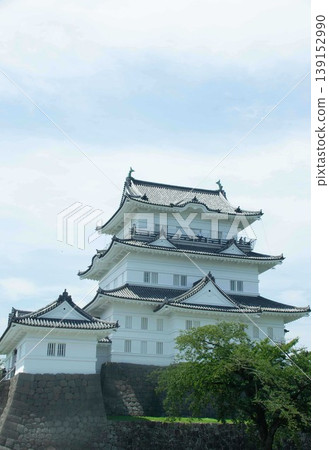 小田原城 139152990
