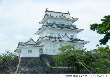 小田原城 139152991