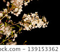 櫻花燈光秀的特寫鏡頭 139153362