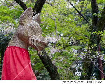 春天稻荷神社的狐狸石像 春天稻荷神社的狐狸石像 139153364