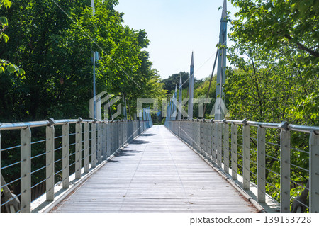 Seoul, South Korea - Apr. 24, 2026 : Pedestrian bridge surrounded by lush green trees at Seoul Forest Park in Seoul, South Korea. Seoul, South Korea - Apr. 24, 2026 : Pedestrian bridge surrounded by lush green trees at Seoul Forest Park in Seoul, South Korea. 139153728