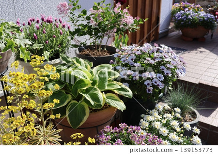 Flower pots in front of the entrance 139153773