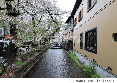 Kyoto, Takase River cherry blossoms, April 2026 (Part 2) Kyoto, Takase River cherry blossoms, April 2026 (Part 2) 139153783