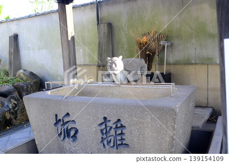 尾道城仙寺水池 尾道城仙寺水池 139154109