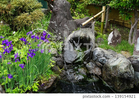 A landscape featuring a tsukubai (stone basin), irises, and a pond - April, Chofu 813 Tsukubai, Tea Garden, Chofu Fudo-son Temple, Josho-ji Temple A landscape featuring a tsukubai (stone basin), irises, and a pond - April, Chofu 813 Tsukubai, Tea Garden, Chofu Fudo-son Temple, Josho-ji Temple 139154921