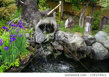 A landscape featuring a tsukubai (stone basin), irises, and a pond - April, Chofu 814 Tsukubai, Tea Garden, Chofu Fudo-son Temple, Josho-ji Temple A landscape featuring a tsukubai (stone basin), irises, and a pond - April, Chofu 814 Tsukubai, Tea Garden, Chofu Fudo-son Temple, Josho-ji Temple 139154922