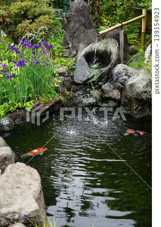 A landscape with a stone basin, irises, and a pond - April, Chofu 815, Stone basin, tea garden, Chofu Fudo-son, Josho-ji Temple A landscape with a stone basin, irises, and a pond - April, Chofu 815, Stone basin, tea garden, Chofu Fudo-son, Josho-ji Temple 139154923