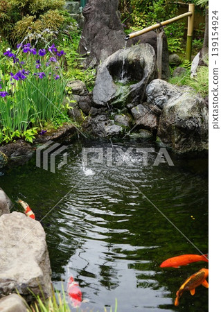 A landscape featuring a tsukubai (stone basin), irises, and a pond - April, Chofu 816 Tsukubai, Tea Garden, Chofu Fudo-son Temple, Josho-ji Temple A landscape featuring a tsukubai (stone basin), irises, and a pond - April, Chofu 816 Tsukubai, Tea Garden, Chofu Fudo-son Temple, Josho-ji Temple 139154924