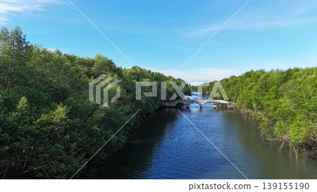 An aerial perspective captures a lush, dense mangrove forest split by a winding river, leading toward a distant urban skyline featuring white arched bridges under a vast, bright blue sky in Indonesia. 139155190