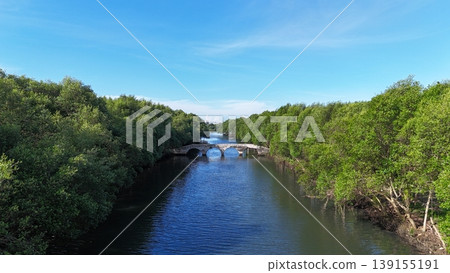 An aerial perspective captures a lush, dense mangrove forest split by a winding river, leading toward a distant urban skyline featuring white arched bridges under a vast, bright blue sky in Indonesia. An aerial perspective captures a lush, dense mangrove forest split by a winding river, leading toward a distant urban skyline featuring white arched bridges under a vast, bright blue sky in Indonesia. 139155191